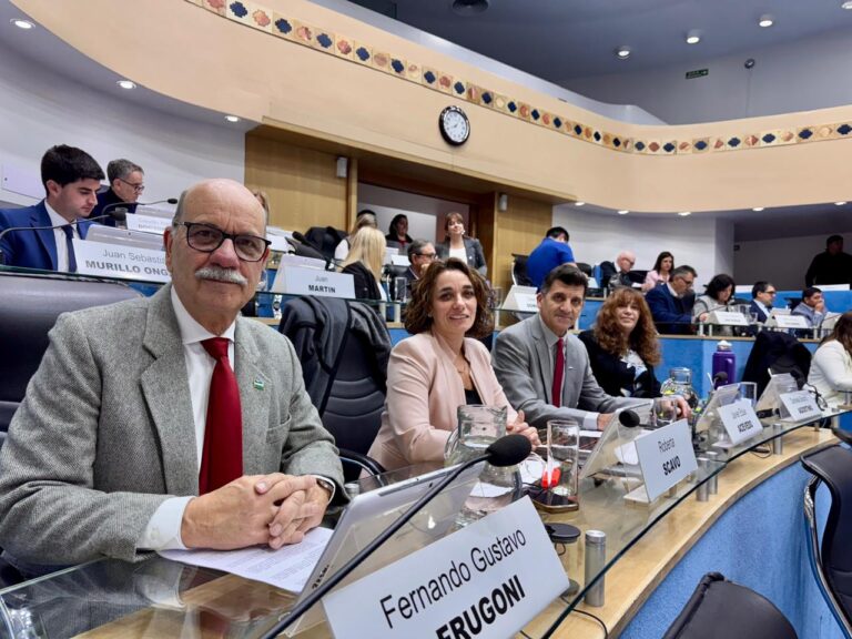 Presión a Nación: legisladores rionegrinos exigen activar el RIMI para destrabar inversiones productivas