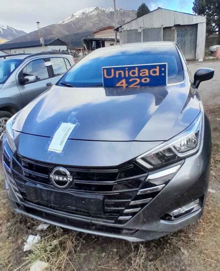 Peligro en la madrugada: detienen a dos hombres que efectuaban disparos al aire desde un auto