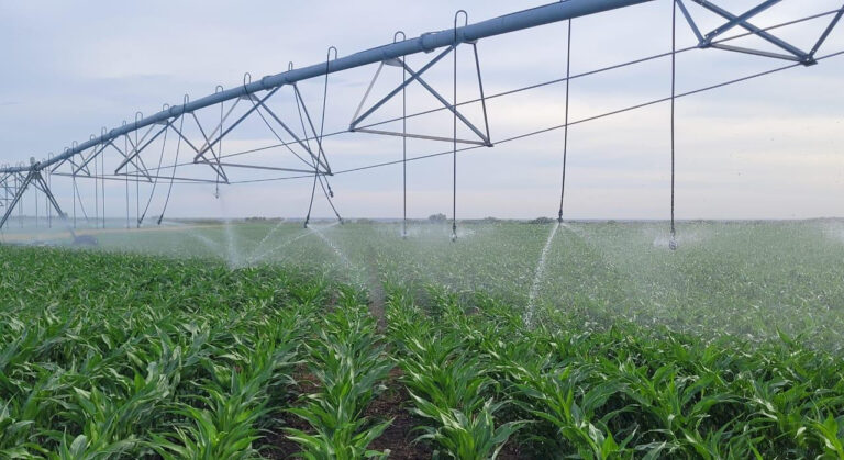 Luz verde de Nación: Río Negro destraba un millonario financiamiento del BID para el agro y la infraestructura rural