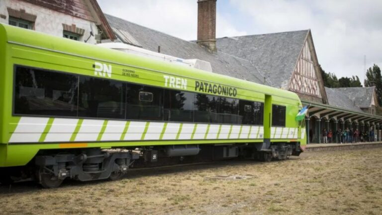 Susto en la Línea Sur: descarriló el Tren Patagónico tras chocar contra una vaca en plena vía