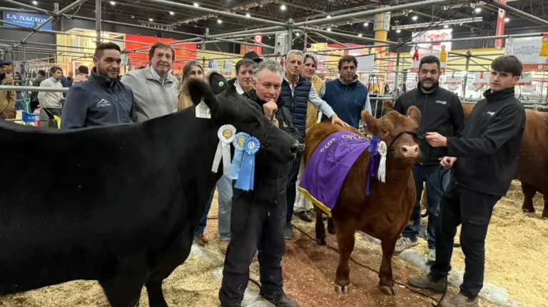 La genética bovina de Río Negro brilló en la Exposición Rural de Palermo