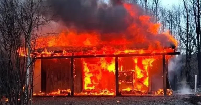 Grave tragedia en Epuyén: un incendio destruyó una vivienda por segunda vez en el año y fallecieron todas sus mascotas