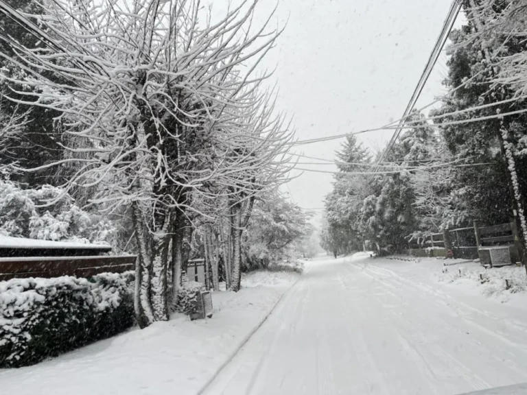 Tras el manto blanco de la madrugada, el frente frío se desplaza y el hielo se convierte en la principal amenaza vial en Bariloche