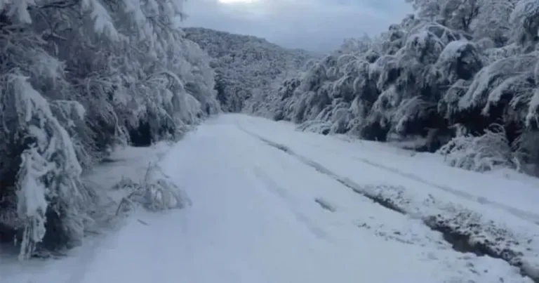 Emiten un alerta amarillo por intensas lluvias y nevadas en el Parque Nacional Nahuel Huapi