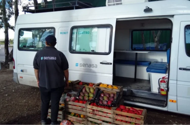 El Senasa decomisó casi 85 toneladas de alimentos que intentaron ingresar irregularmente a la Patagonia
