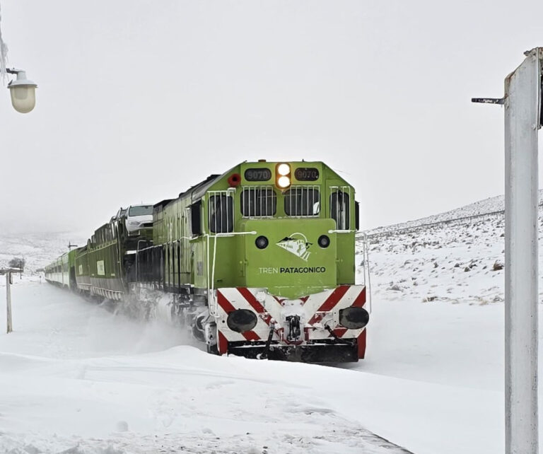 Tren Patagónico habilitó la venta de boletos para viajar entre Viedma y Bariloche durante septiembre