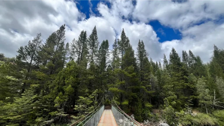 El Gobierno de Río Negro dispuso la reapertura del Área Natural Protegida Río Azul–Lago Escondido