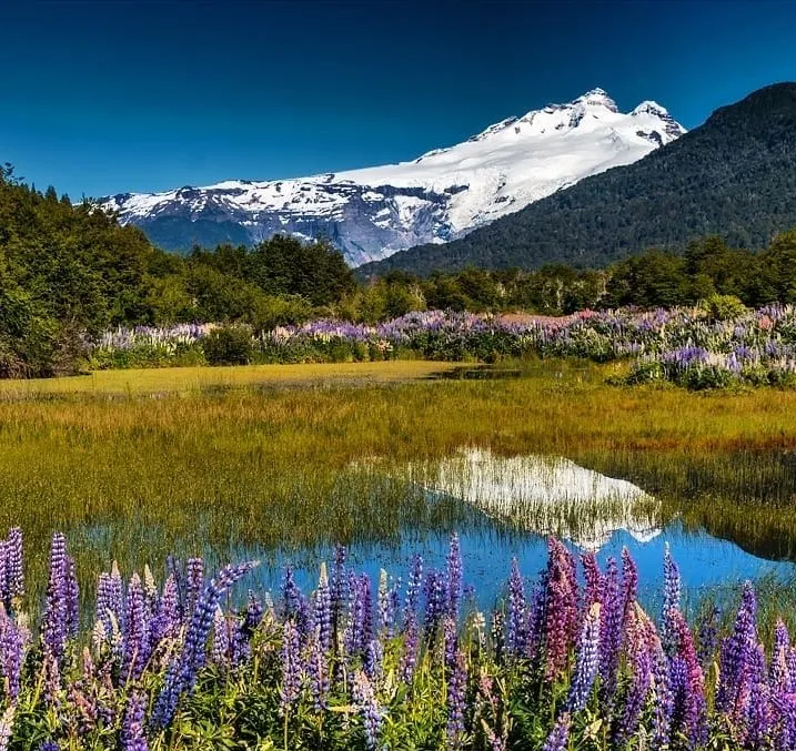 Alerta por mal tiempo en Bariloche: prevén una semana marcada por nevadas, lluvias continuas y ráfagas de viento de hasta 78 km/h