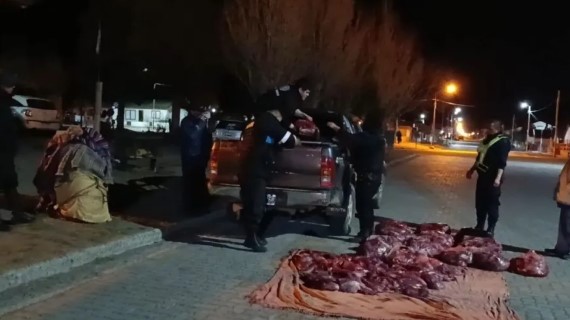 Incautaron cerca de 700 kilos de carne de guanaco ocultos entre colchones sobre la Ruta 40