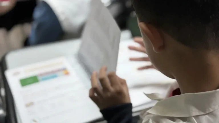 Educación en Río Negro: evalúan una nueva estrategia metodológica para potenciar el rendimiento escolar