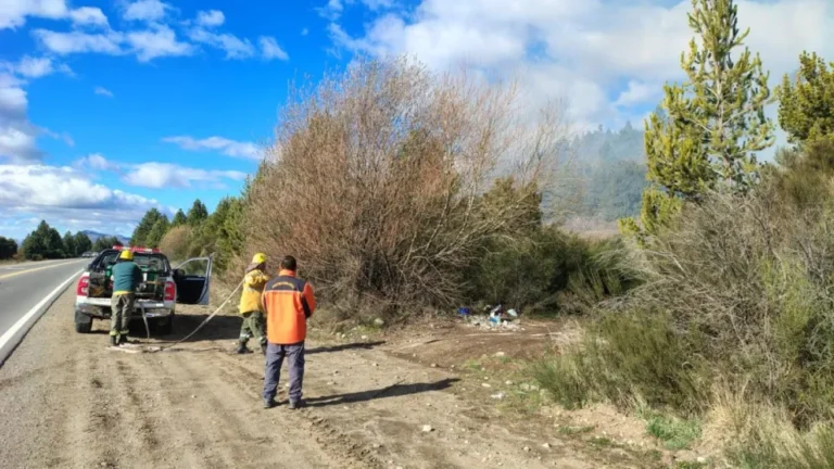 Una quema fuera de control desencadenó un incendio forestal a la vera de la Ruta de Circunvalación en Bariloche