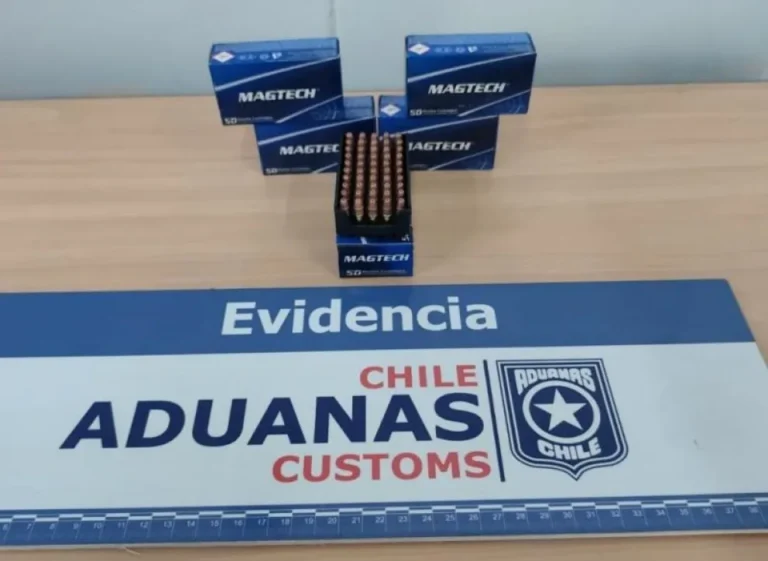 Detectaron municiones y partes de armas en el paso Cardenal Samoré en un vehículo procedente de Bariloche
